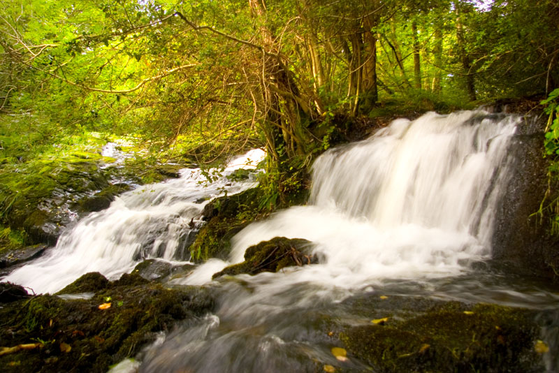 To save this picture as Windows Wallpaper - right click it - then select "Set as Background"